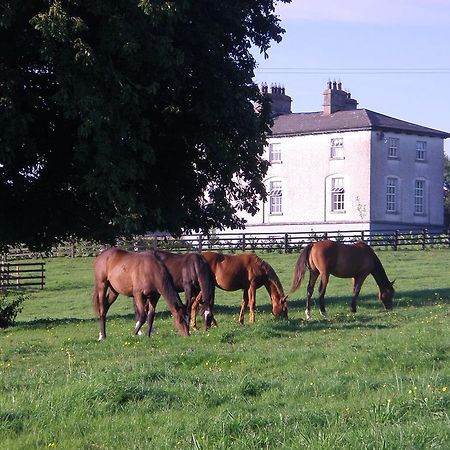 Glebe House Affittacamere Taghshinny Esterno foto